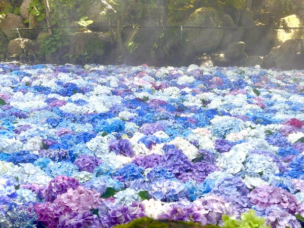 日本・茨城県「茨城　雨引観音」の写真