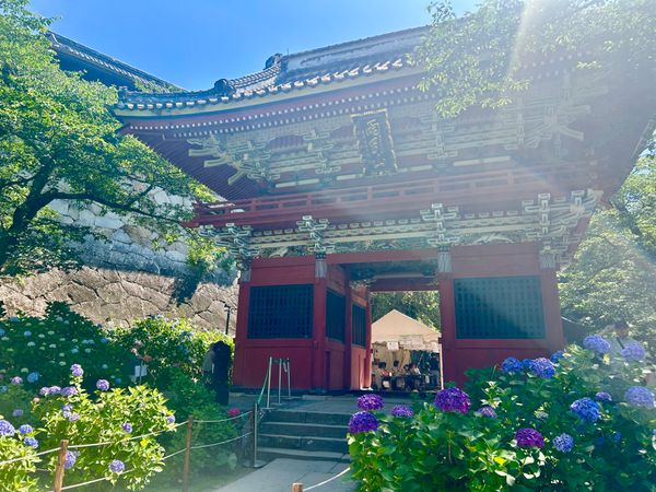 日本・茨城県「茨城　雨引観音」の写真