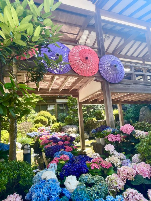 日本・茨城県「茨城　雨引観音」の写真
