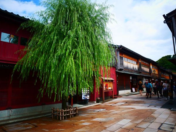 日本・福井県「北陸旅行」の写真：ひがし茶屋街