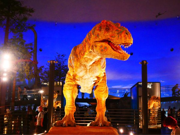 日本・福井県「北陸旅行」の写真：福井県立恐竜博物館