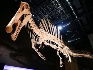 福井県立恐竜博物館