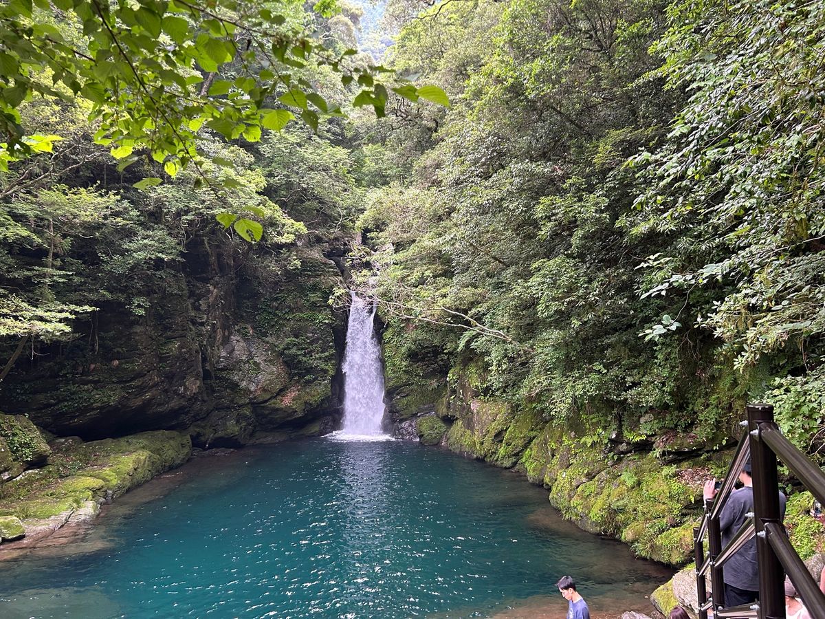 四万十川より綺麗だよ！と聞いて行ってみた仁淀川

姫鶴平からの展望…💦
霧...