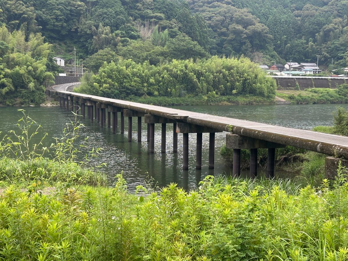 四万十川より綺麗だよ！と聞いて行ってみた仁淀川

姫鶴平からの展望…💦
霧...