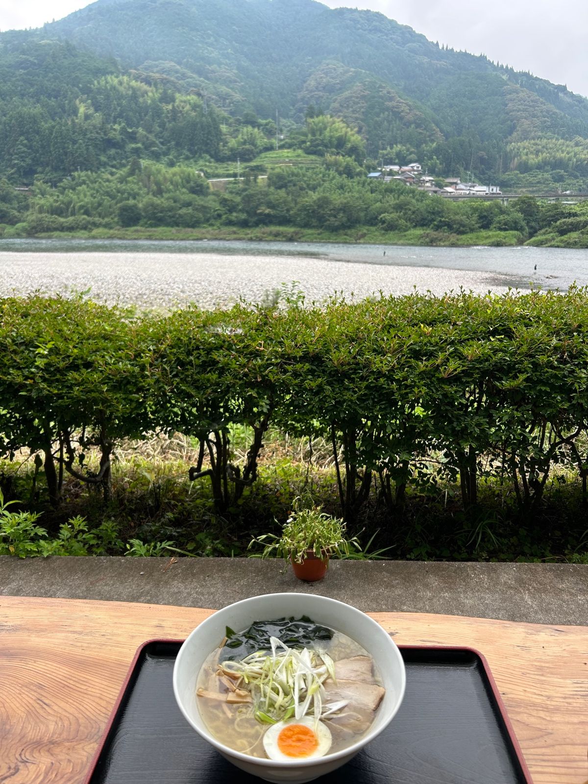四万十川より綺麗だよ！と聞いて行ってみた仁淀川

姫鶴平からの展望…💦
霧...