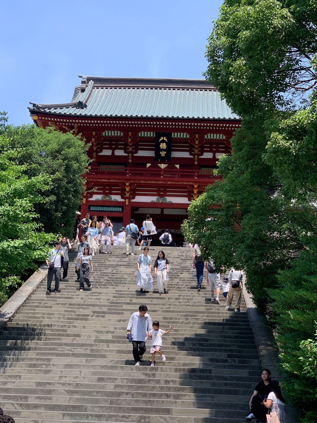 何十年ぶりの鶴岡八幡宮！