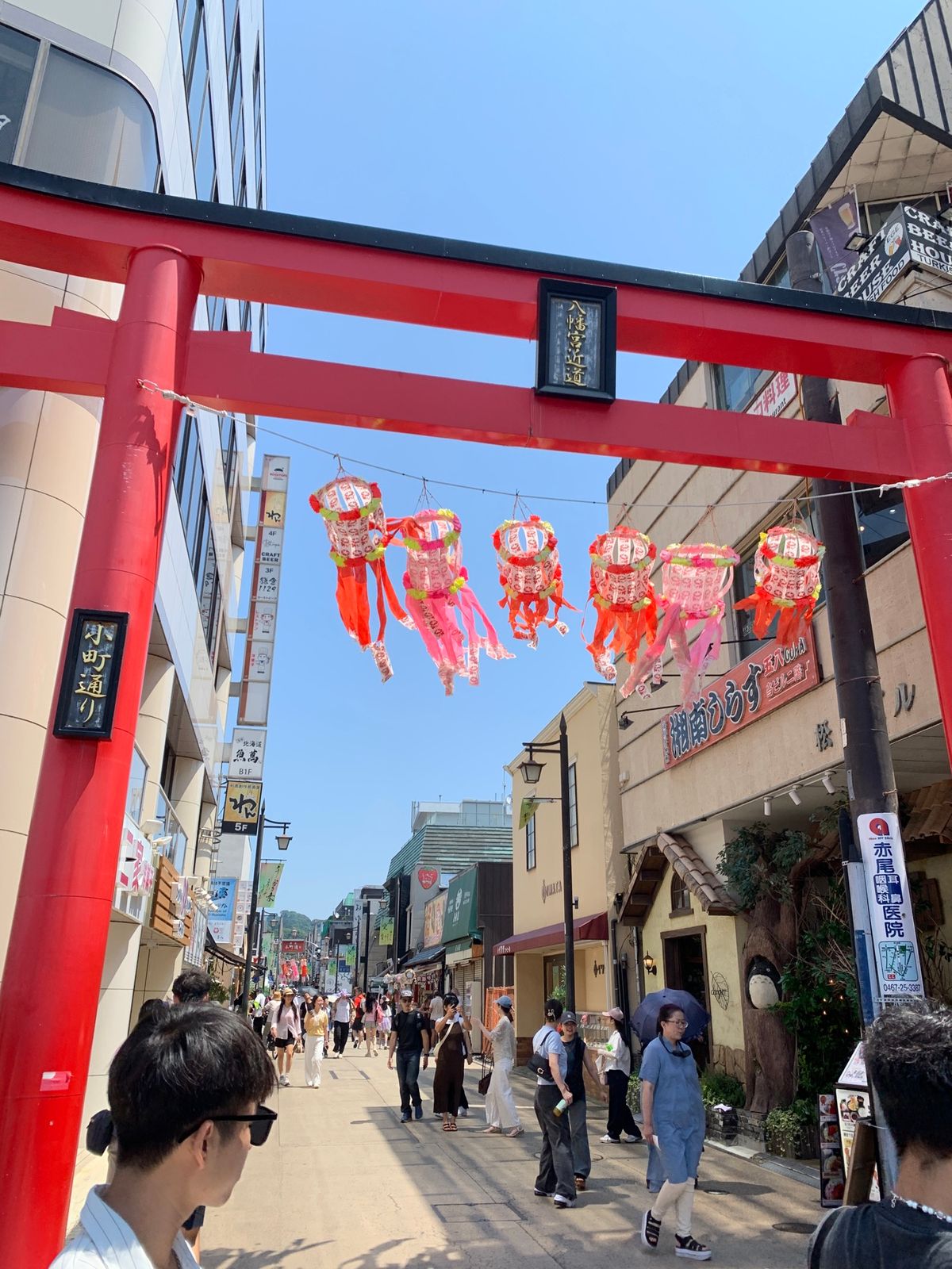 何十年ぶりの鶴岡八幡宮！