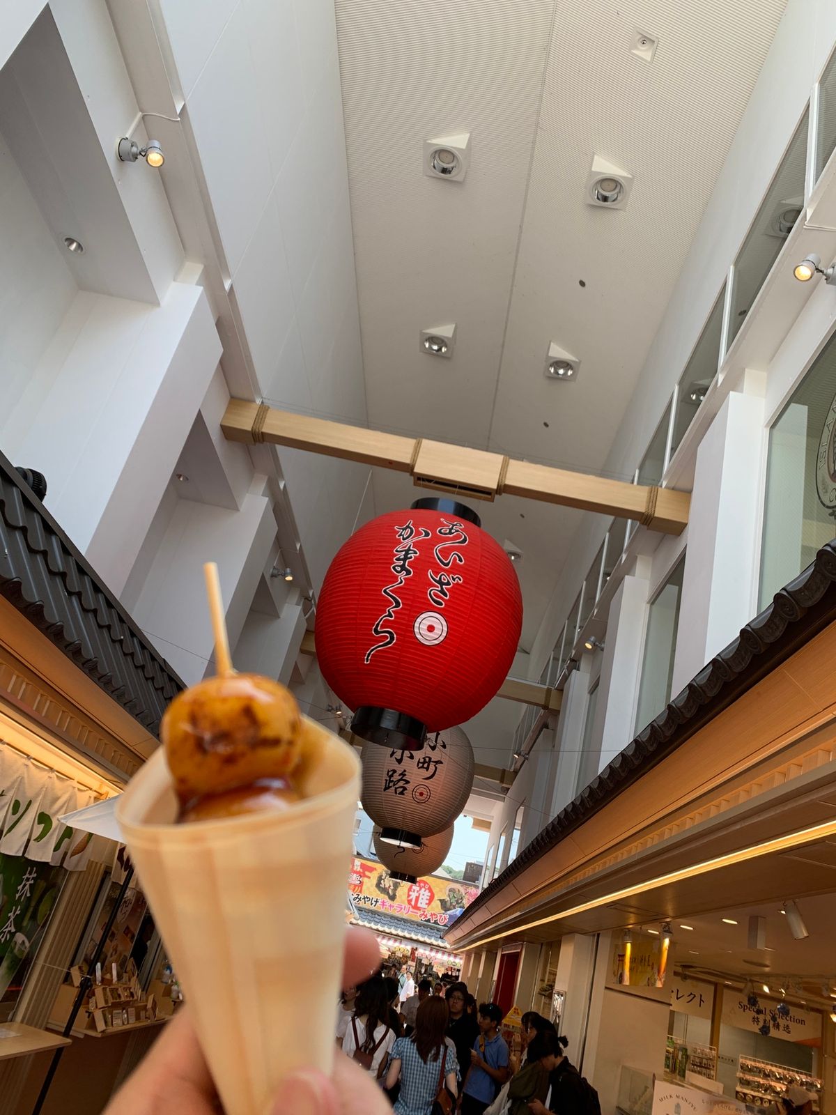 何十年ぶりの鶴岡八幡宮！