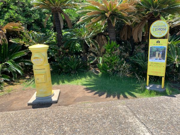 日本・神奈川県「初島〜江ノ島〜鎌倉〜横浜満喫旅」の写真