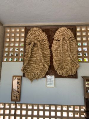 鎌倉散策！
