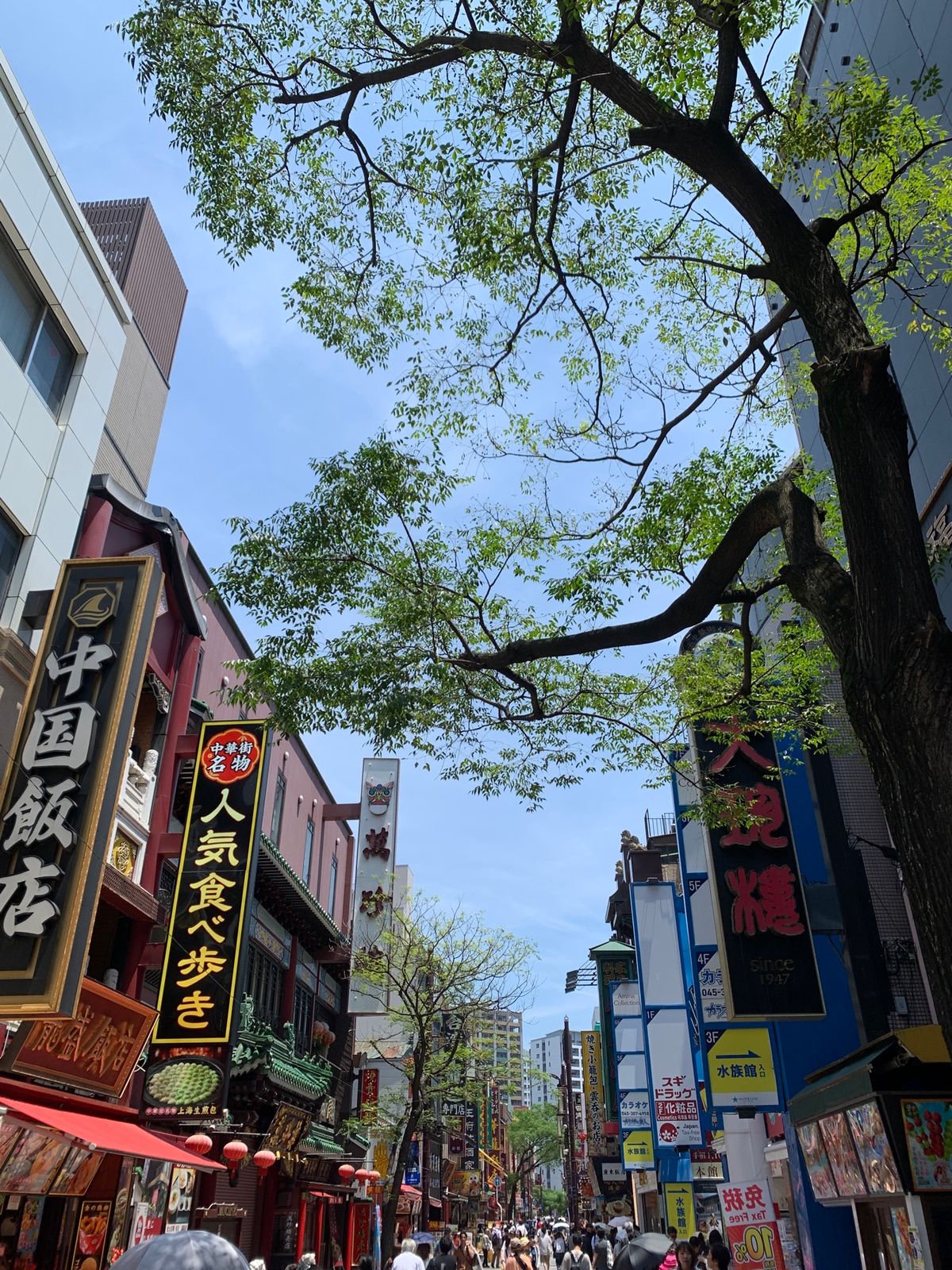 今回の最終地点！
横浜中華街で満喫(^^)