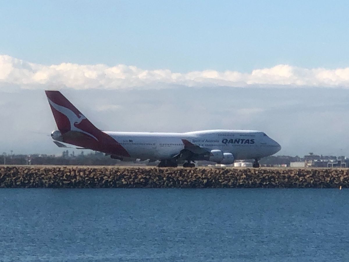 良い写真が撮れました