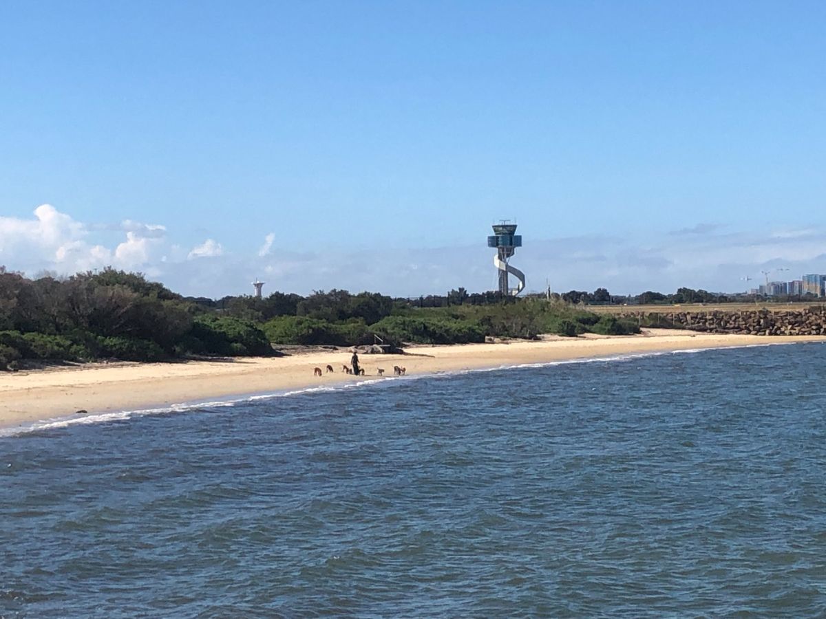 レンタカーで空港外周へ