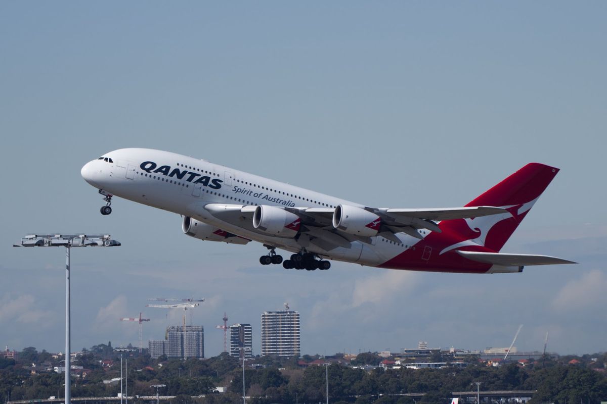 良い写真が撮れました