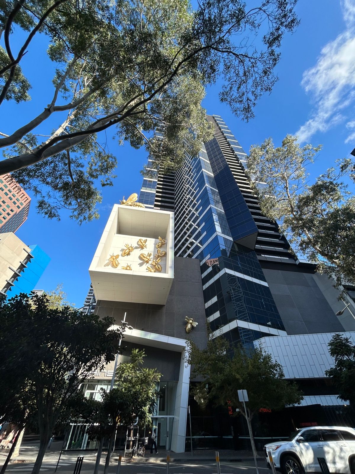 メルボルンを一望できる展望台
高所恐怖症にはキツイけど、行ってよかった👍