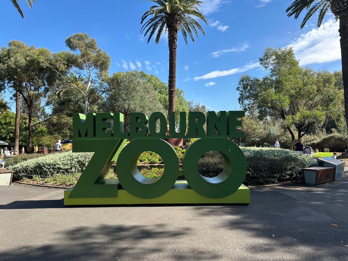 カモノハシ目当てで動物園行ったけど、やっぱかわいい！！コアラも可愛すぎ🐨