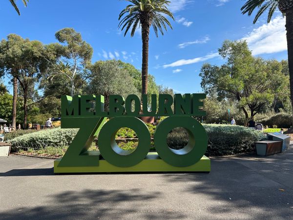 オーストラリア連邦・メルボルン「オーストラリア」の写真：カモノハシ目当てで動物園行ったけど、やっ...