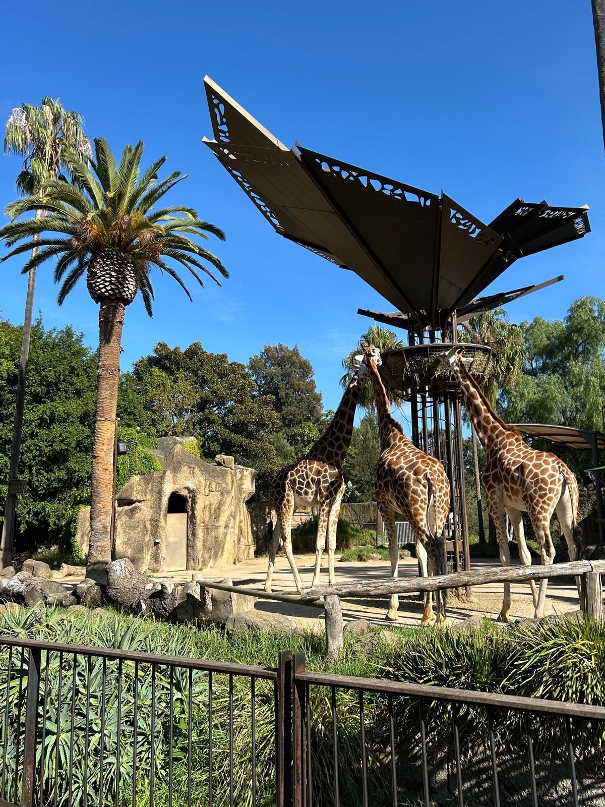 最初2羽の鳥さんが似た動きしていて面白かった🤣
動物との距離が全体的に近く...