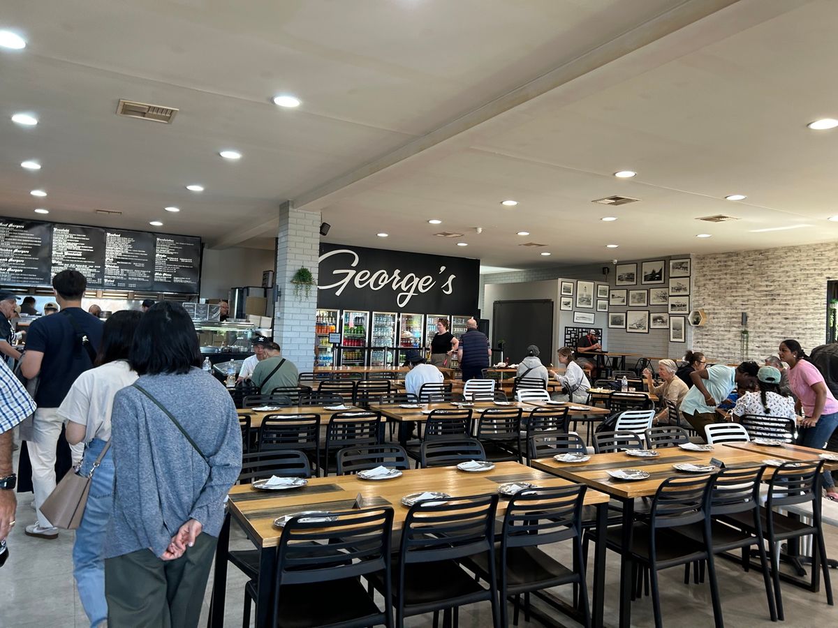 シャーク＆サラダ食べた！！
初めての鮫😋
野生のコアラ見れた·͜·ᰔᩚ