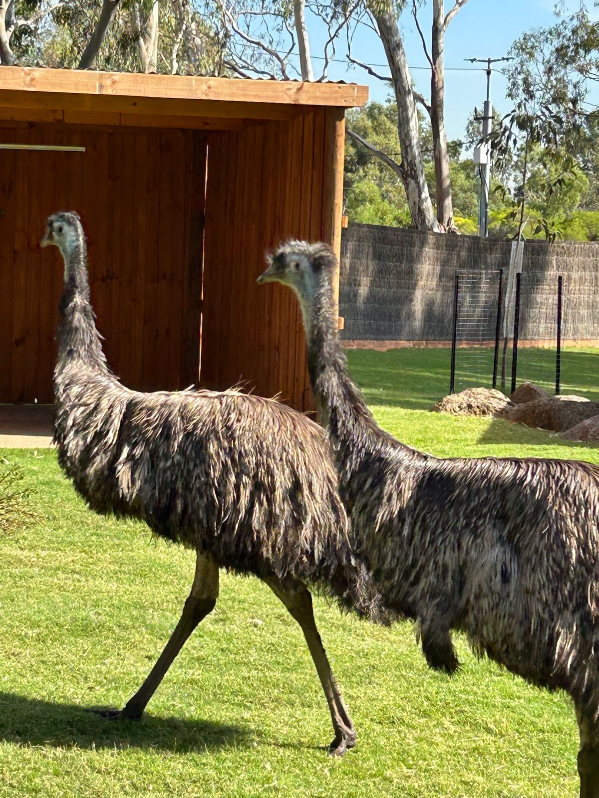 動物たくさん！！
