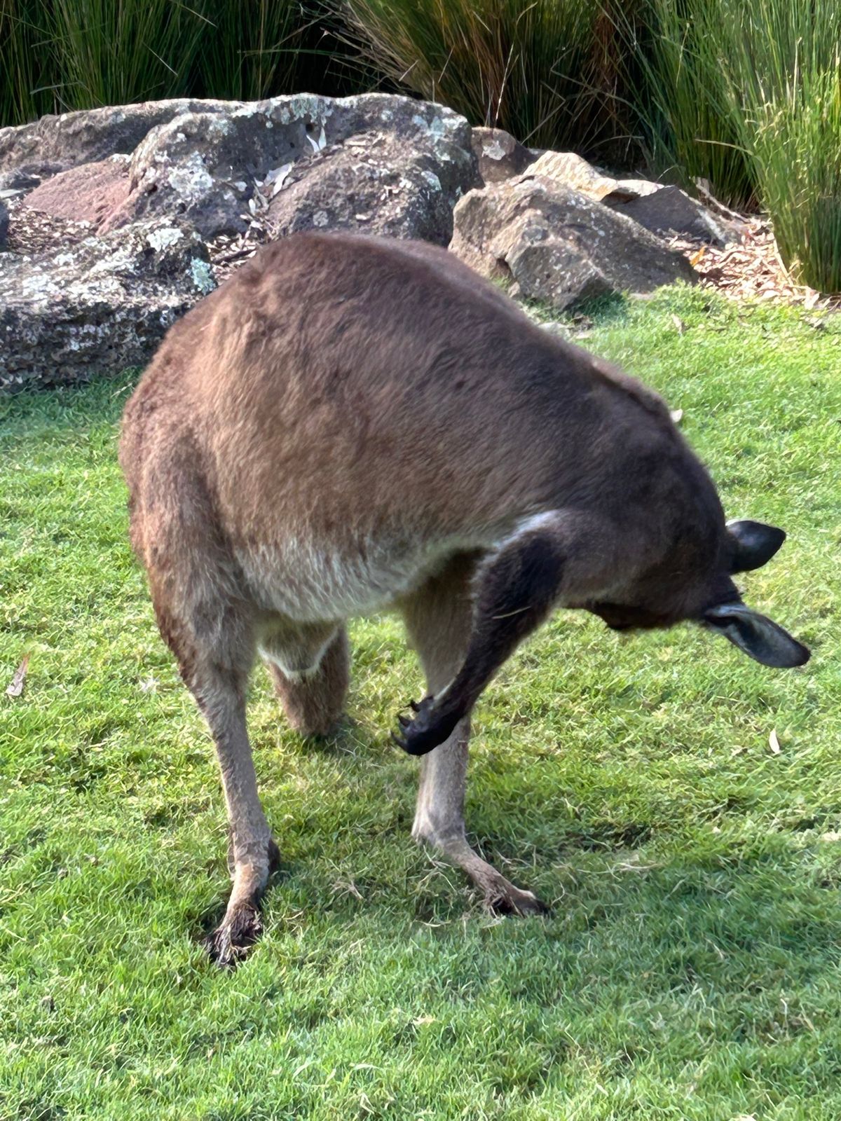 動物たくさん！！