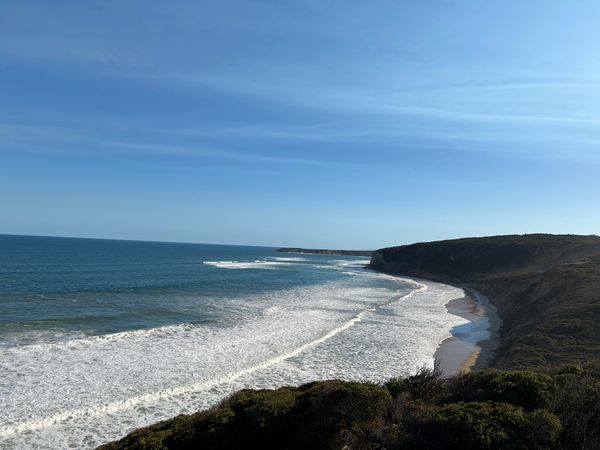 オーストラリア連邦・メルボルン「オーストラリア」の写真：野生のオウム🦜🦜🦜