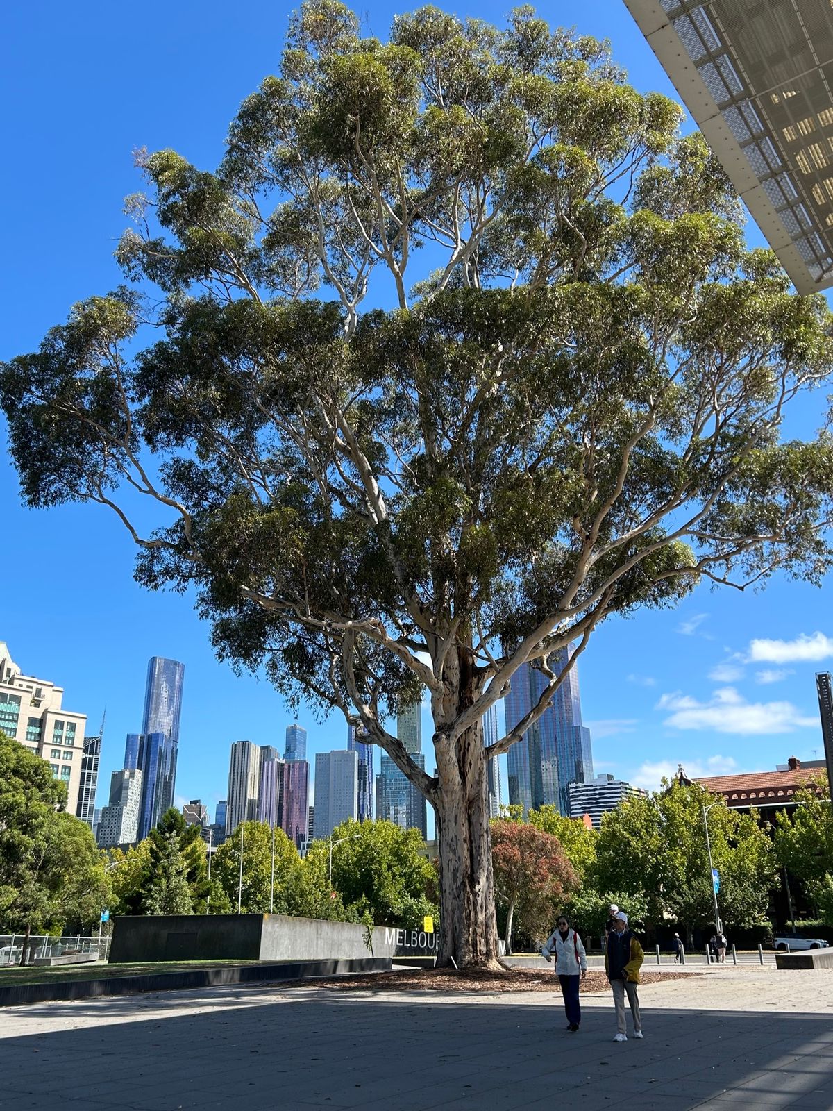 1枚目の写真の建物は確か元刑務所だった気がする
立派な木だなぁ🤔