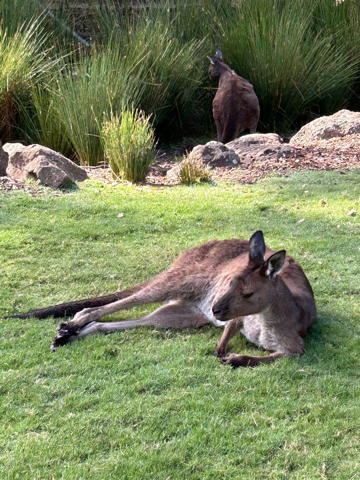 動物たくさん！！