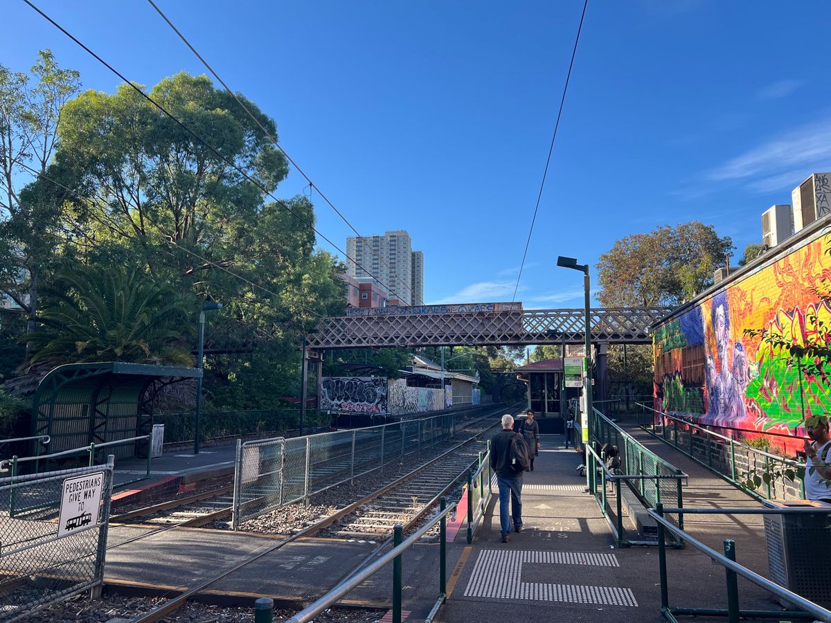 市場めっちゃ広かった！！
野生のカンガルー見れた！！