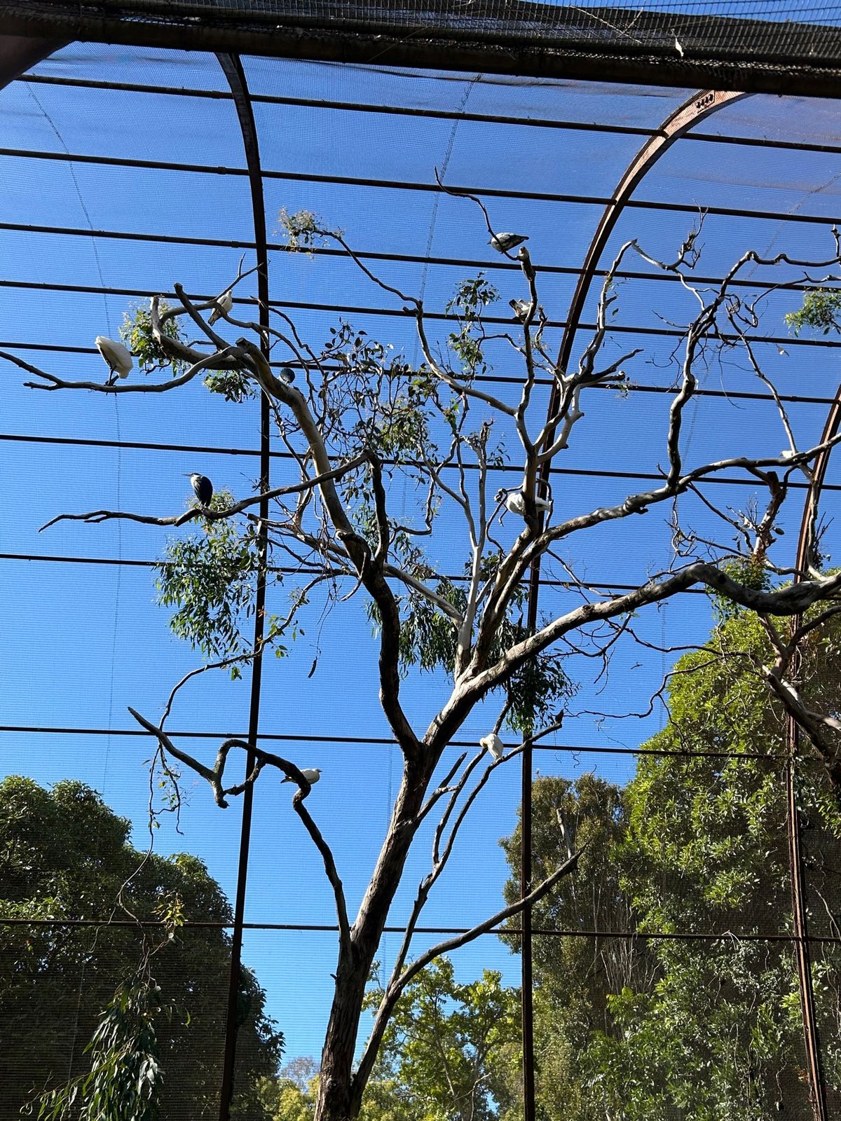 最初2羽の鳥さんが似た動きしていて面白かった🤣
動物との距離が全体的に近く...