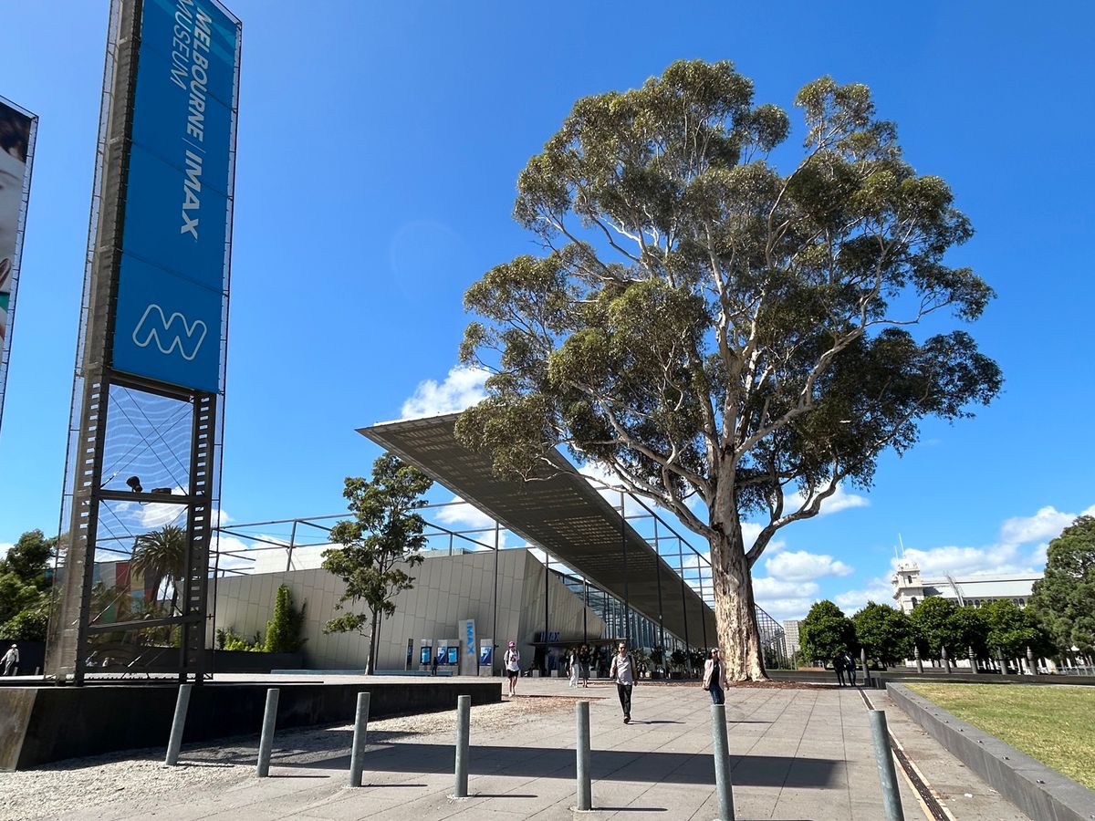 1枚目の写真の建物は確か元刑務所だった気がする
立派な木だなぁ🤔