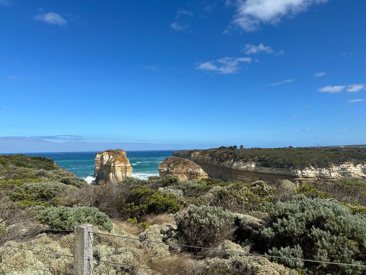 侵食された岩たち
海綺麗