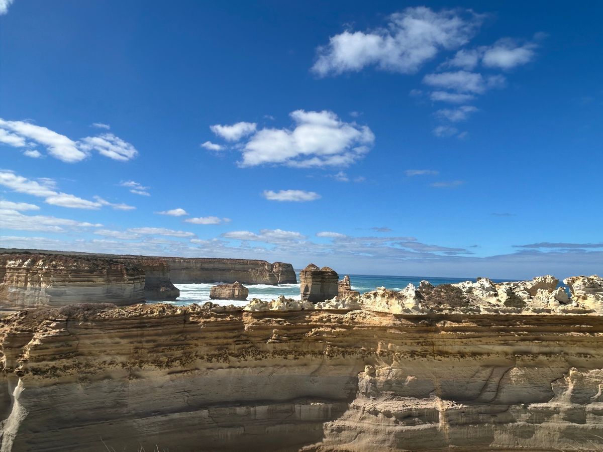 侵食された岩たち
海綺麗