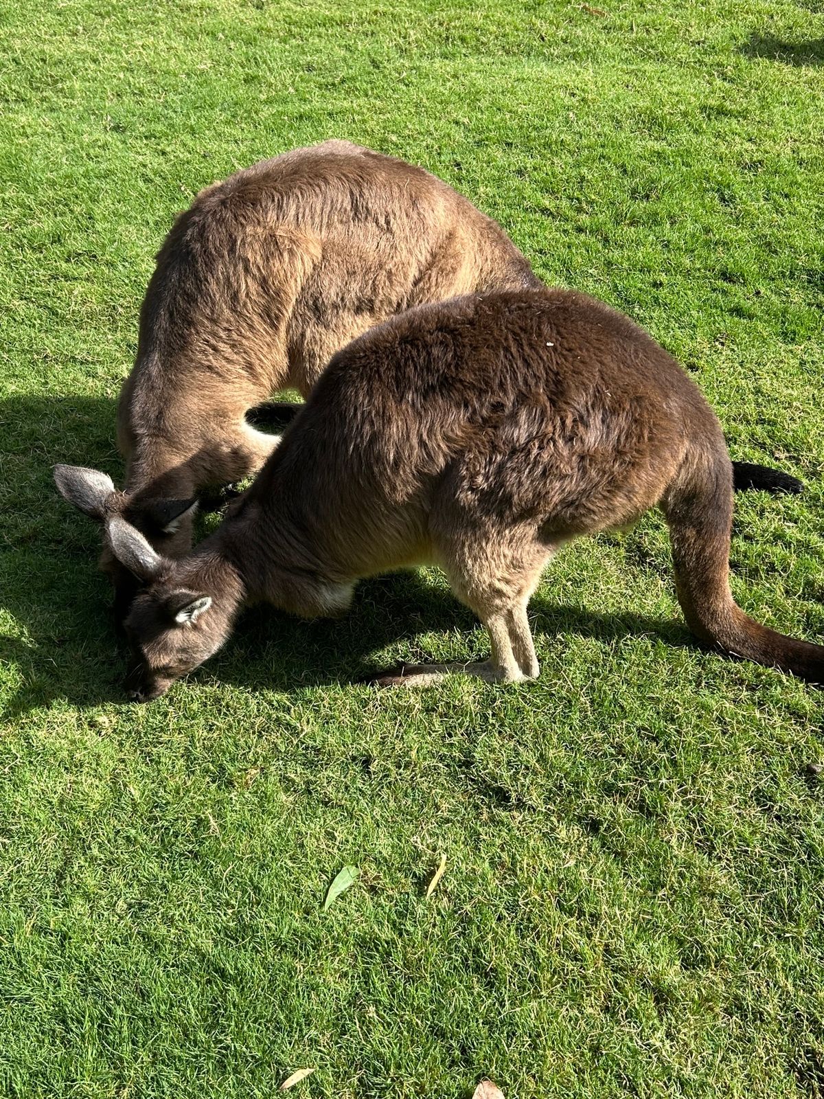 動物たくさん！！