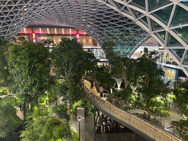 イギリス(英国)・ロンドン「ロンドン親子旅」の写真：ドーハ空港に到着。なんと予定より１時間近...