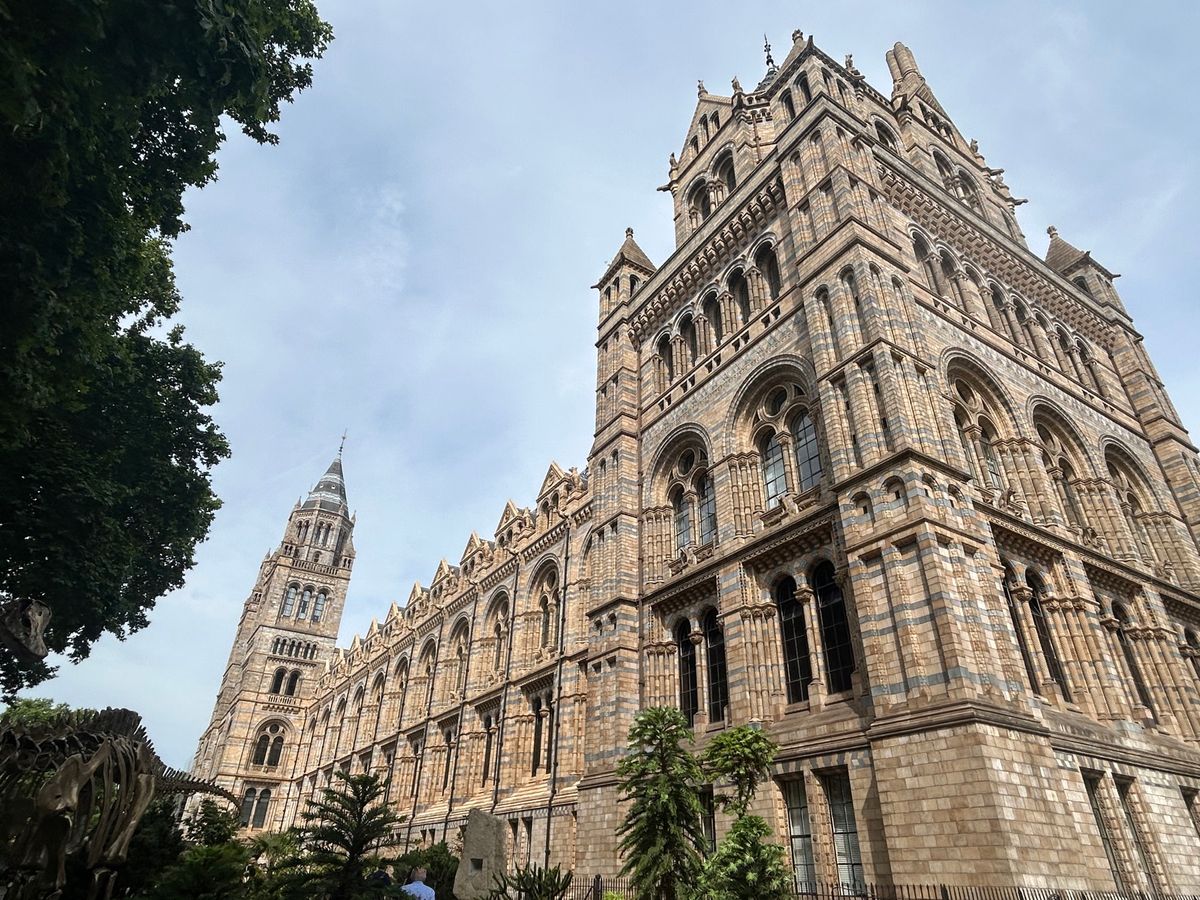 ３日目午前中は自然史博物館へ。
恐竜や生物、鉱物、宇宙、地球などあらゆる自...