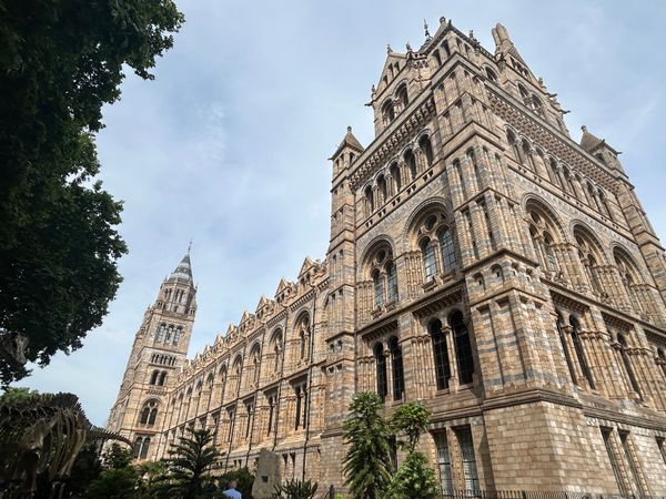 イギリス(英国)・ロンドン「ロンドン親子旅」の写真：３日目午前中は自然史博物館へ。
恐竜や生...