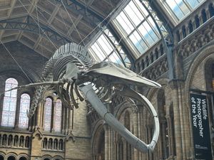 ３日目午前中は自然史博物館へ。
恐竜や生物、鉱物、宇宙、地球などあらゆる自...
