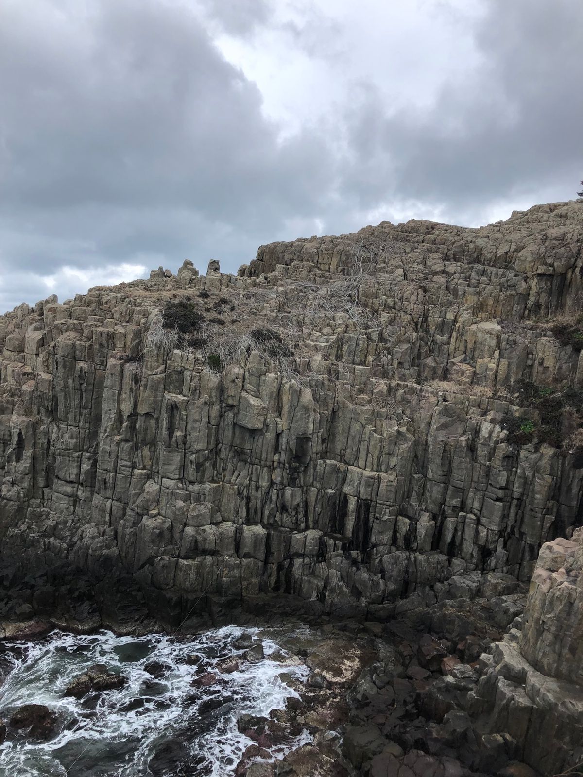 東尋坊とおろしそば