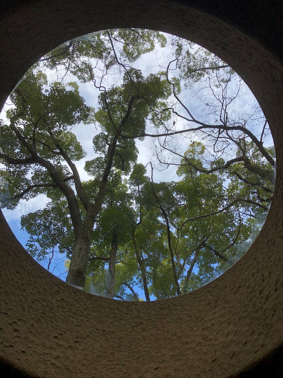 鴨川→下鴨神社→上賀茂神社