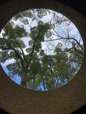 鴨川→下鴨神社→上賀茂神社
