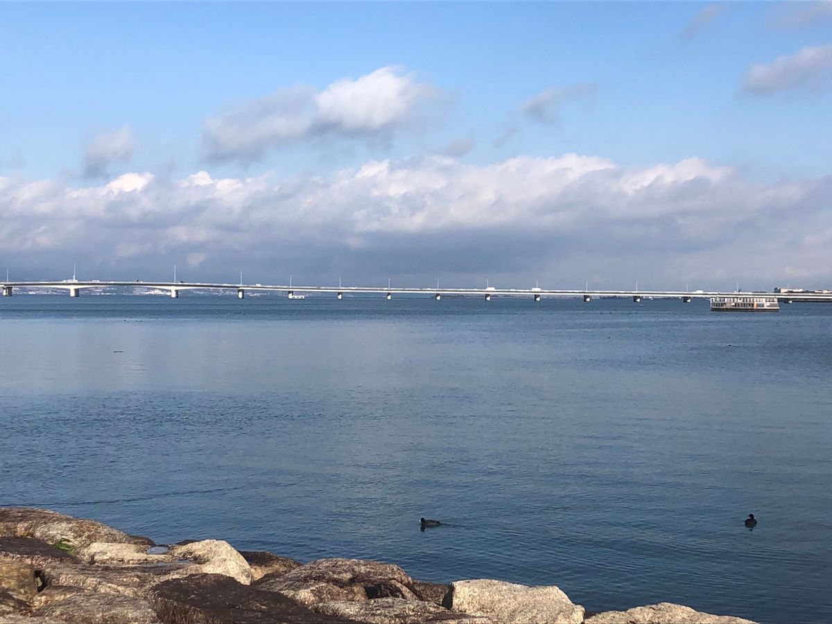 琵琶大橋の南側のどこか