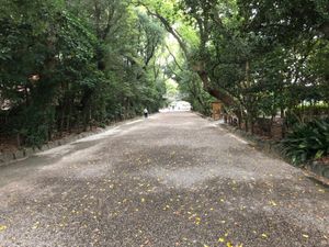 熱田神宮→真清田神社→犬山城
雨で景色良くなった。リベンジしたい