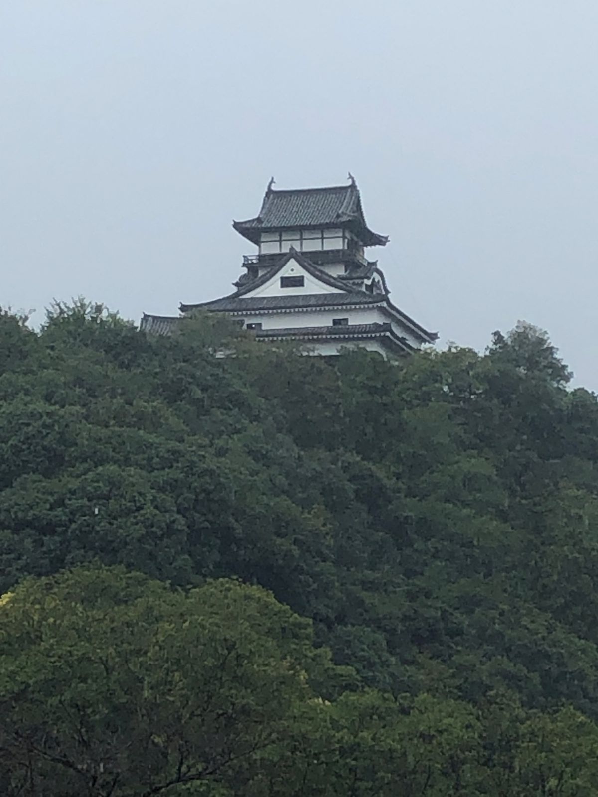 熱田神宮→真清田神社→犬山城
雨で景色良くなった。リベンジしたい