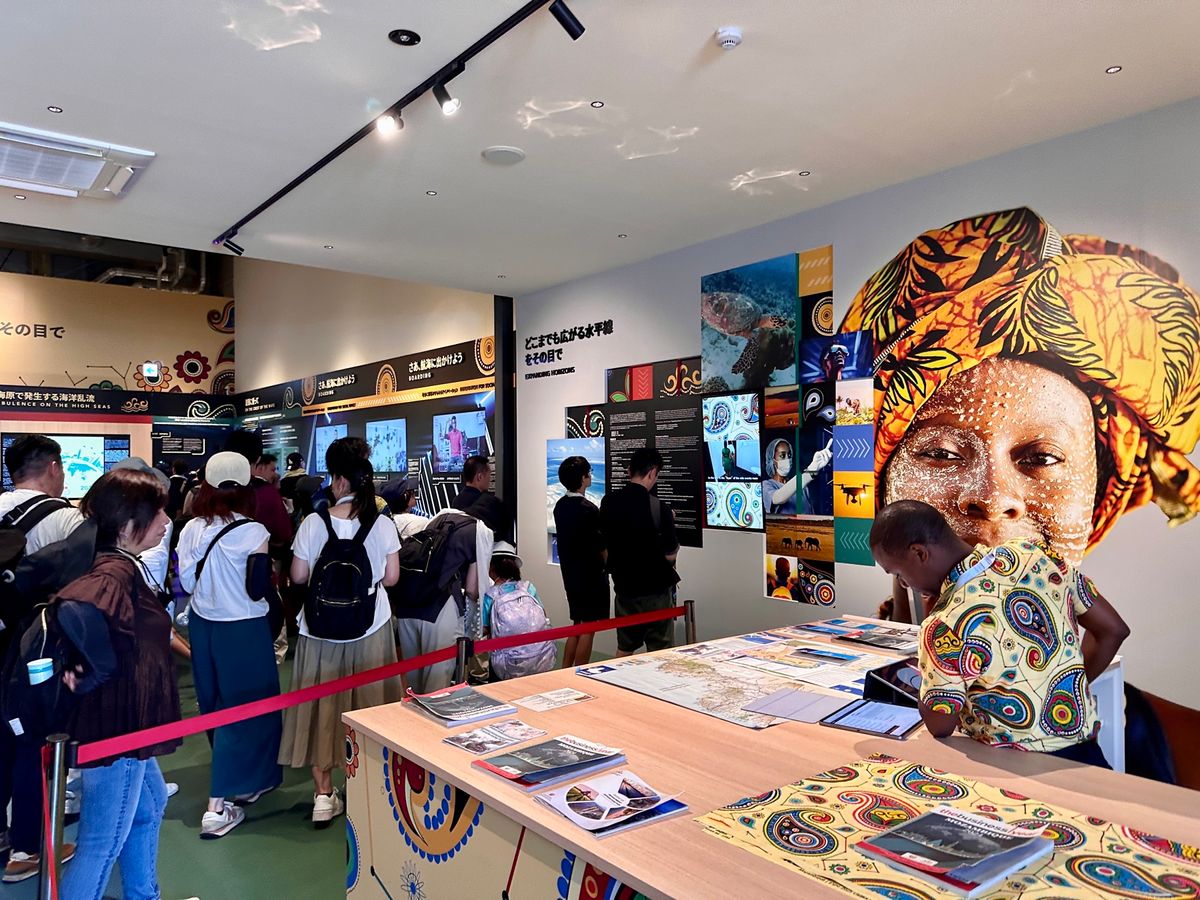 行った事は無いけれどモザンビーク館が気になって入ってみました。