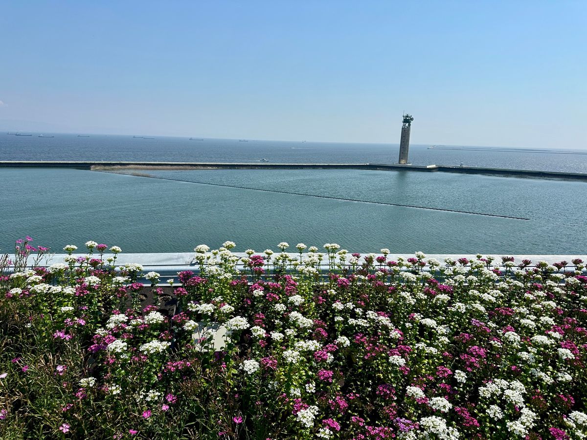 午後にはどのパビリオンも長蛇の列。

事前予約全て落ちて、当日予約のみでの...