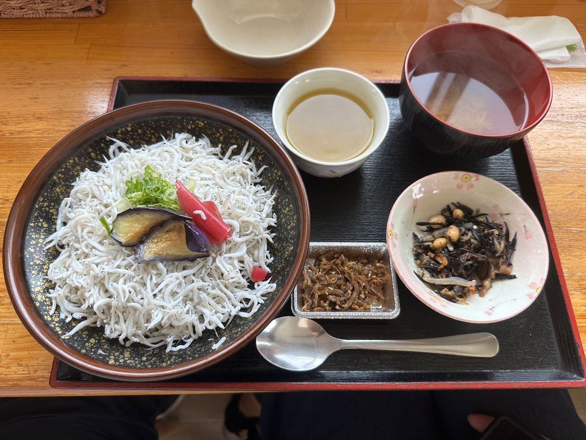 高知駅からのグルメ旅
芋屋金次郎の揚げたて芋けんぴ
安芸しらす食堂のちりめ...