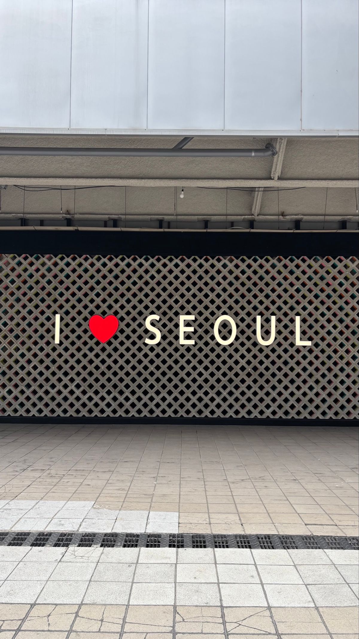 どきどきで通った入国審査🚶‍♀️💧意外と緩くてすぐ入れた♪