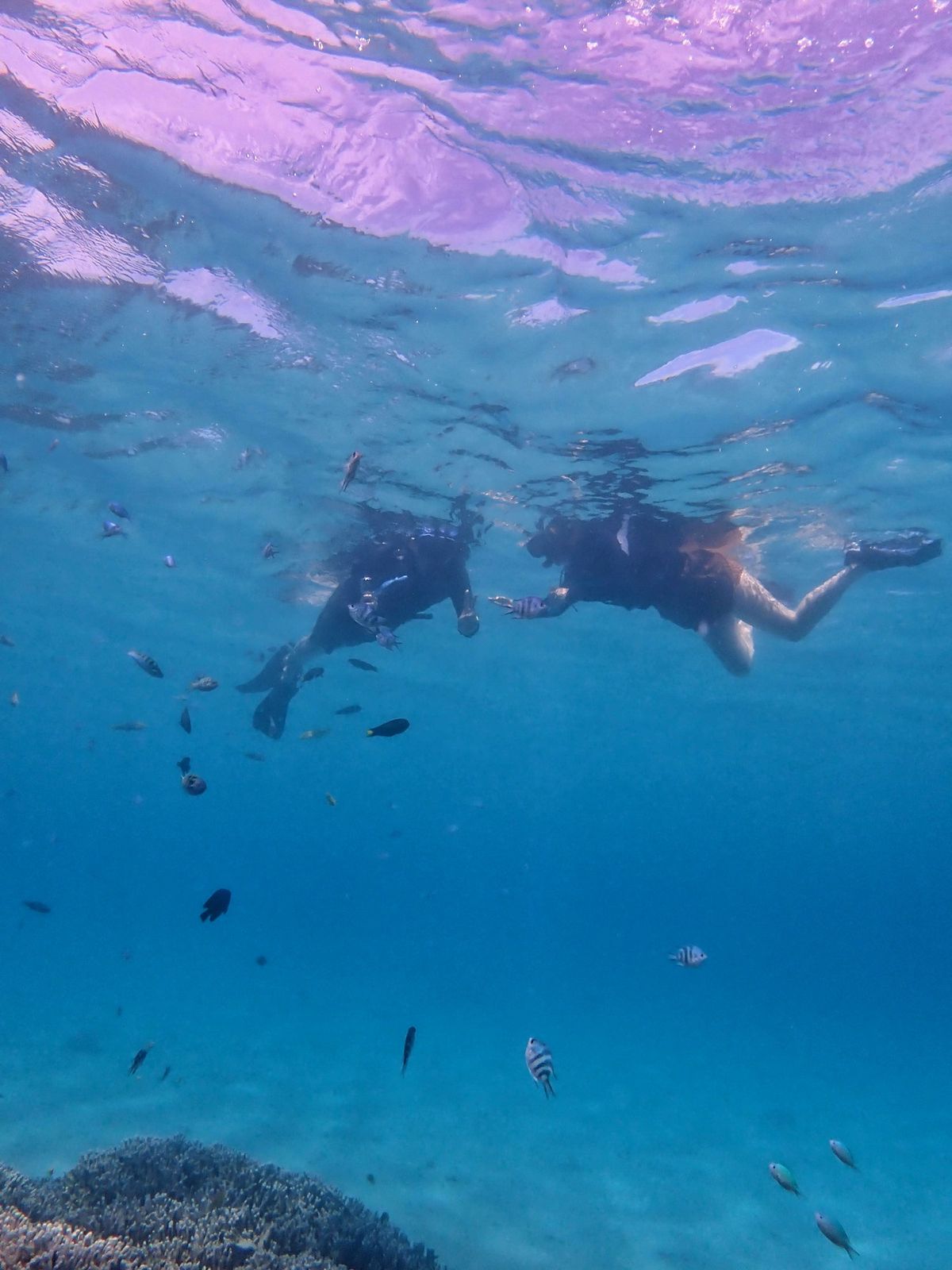 海、川、空満喫！
