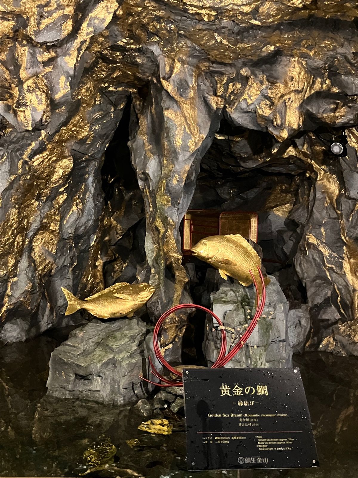 鯛生金山
坑道の入り口に近づくだけで、ひんやりとした空気が。夏でも上着を羽...